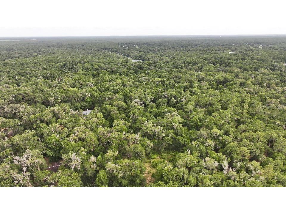18731 SW 79th Place Dunnellon FL 34432 - RAINOW RIVER OM726729 image2
