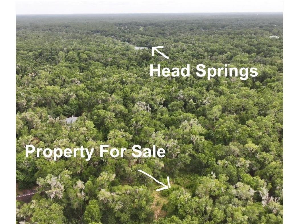 18731 SW 79th Place Dunnellon FL 34432 - RAINOW RIVER OM726729 image3