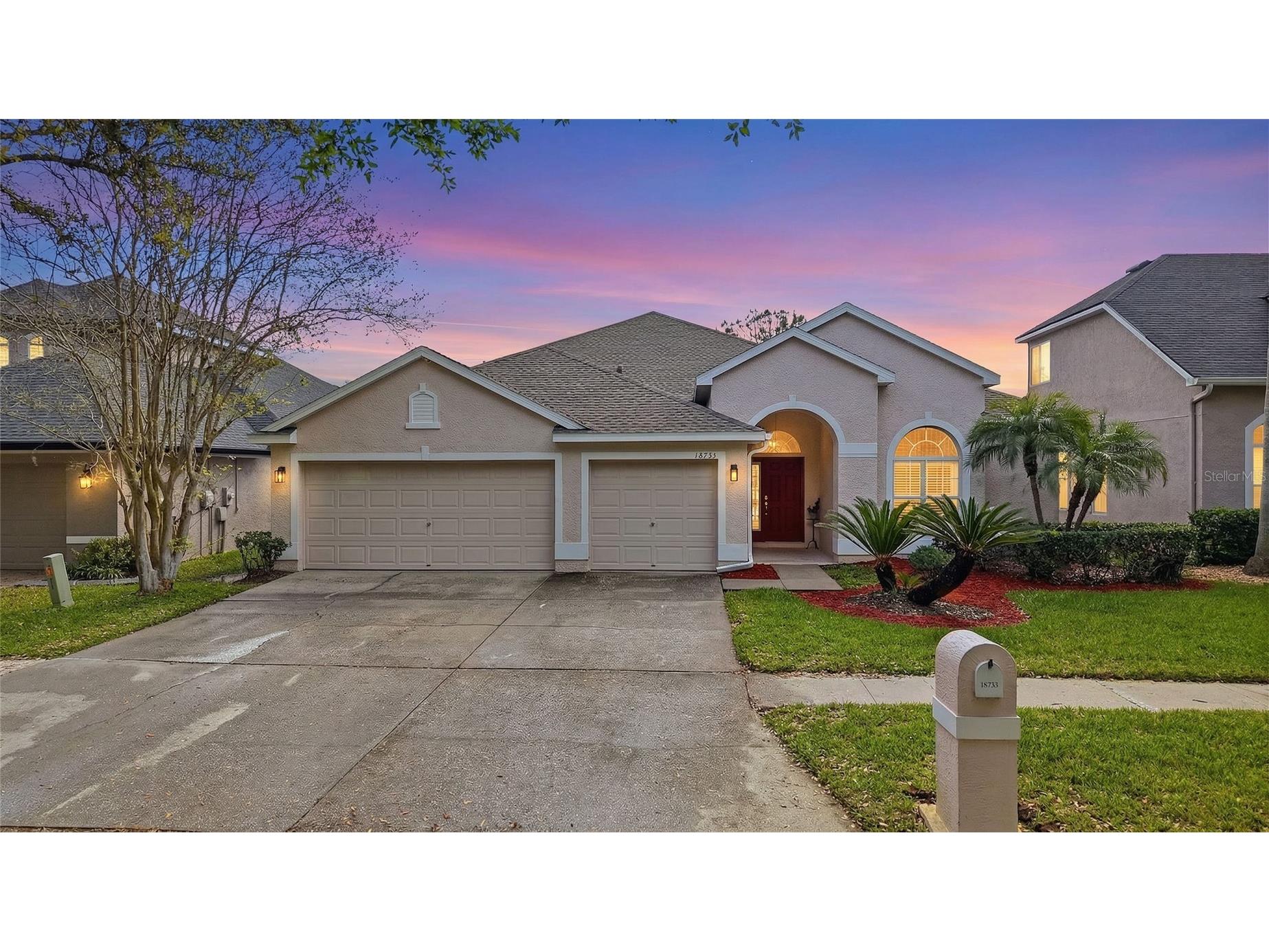18733 Chopin Drive Lutz FL 33558 TB8490648 image1
