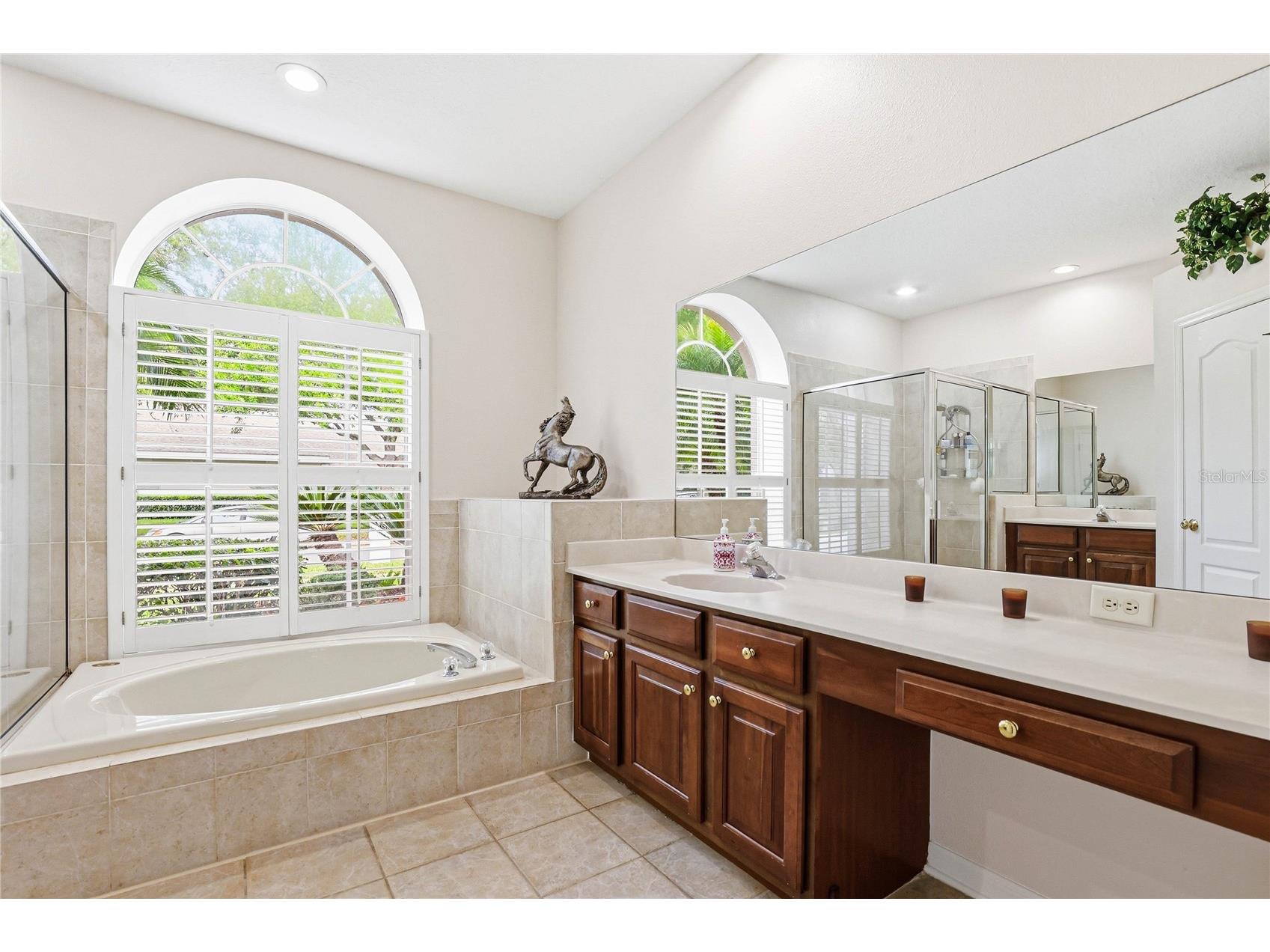 18733 Chopin Drive Lutz FL 33558 TB8490648 image27