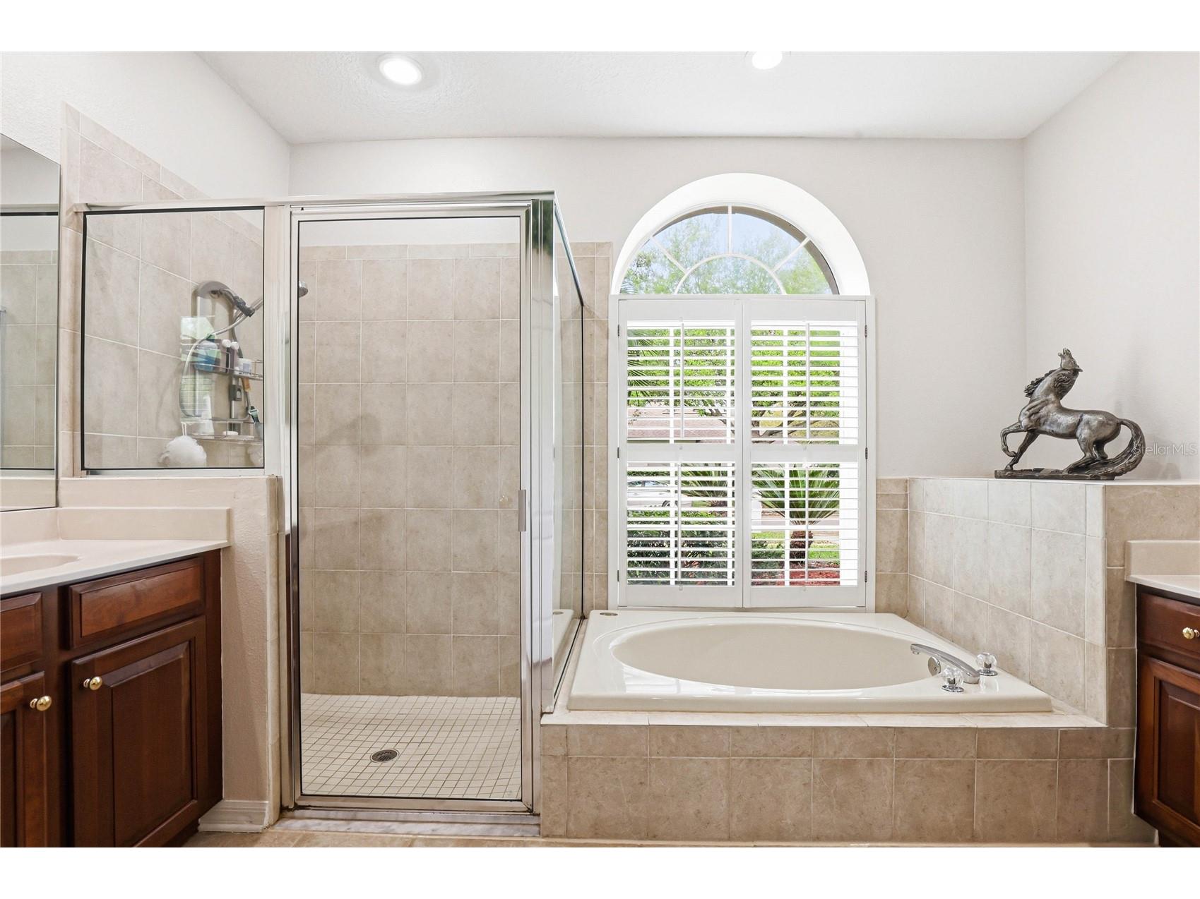 18733 Chopin Drive Lutz FL 33558 TB8490648 image29