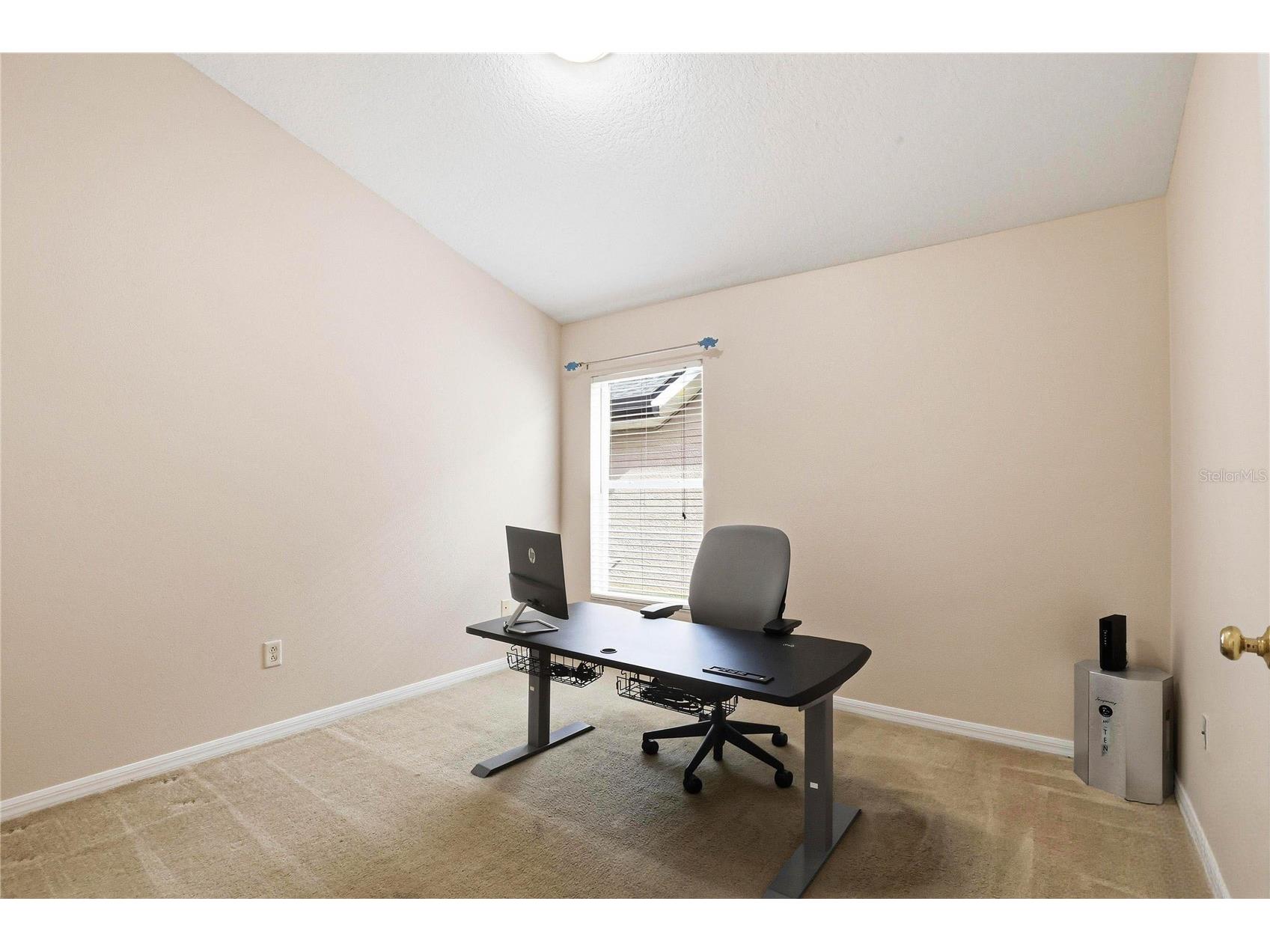 18733 Chopin Drive Lutz FL 33558 TB8490648 image30