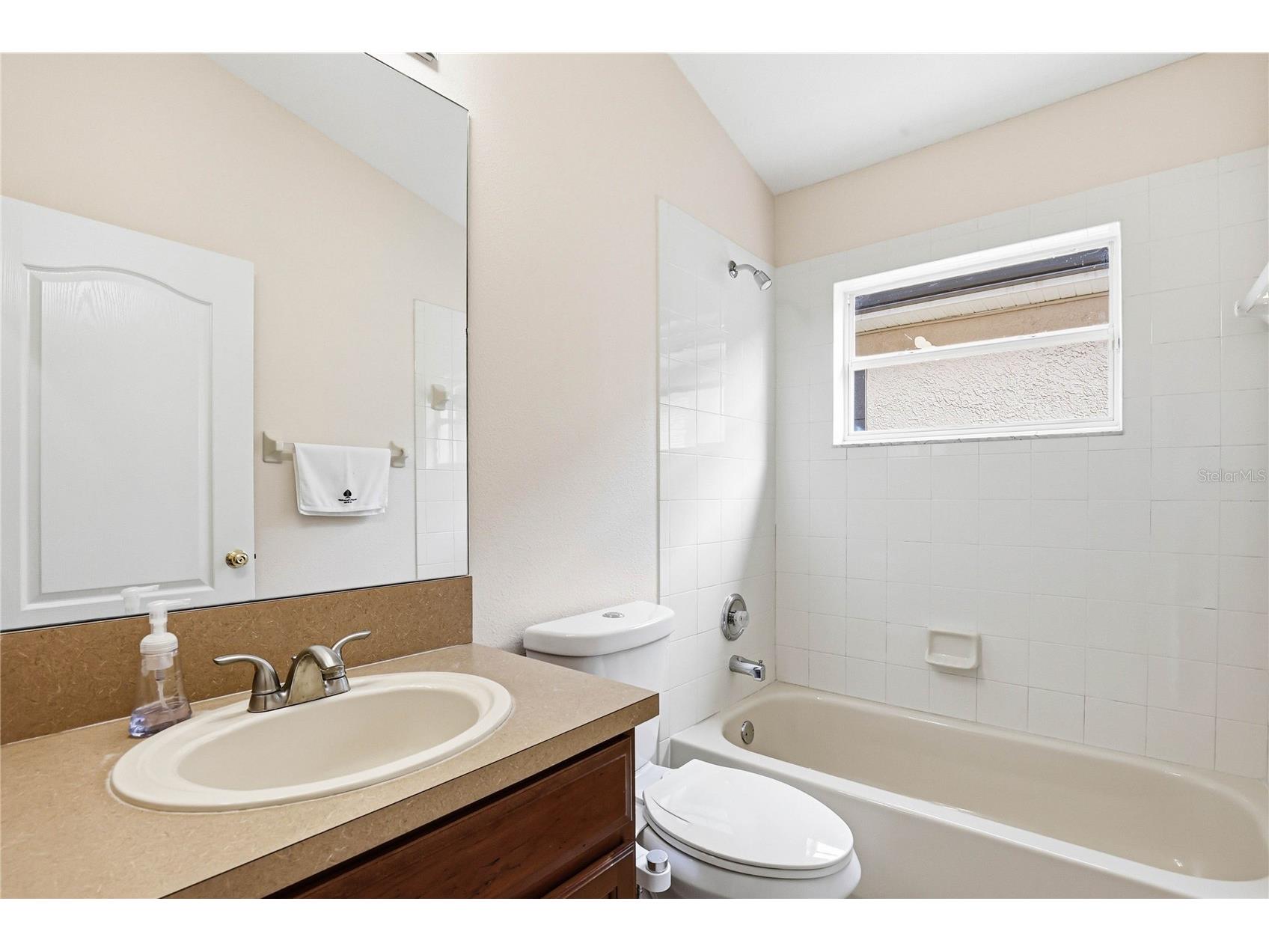 18733 Chopin Drive Lutz FL 33558 TB8490648 image33
