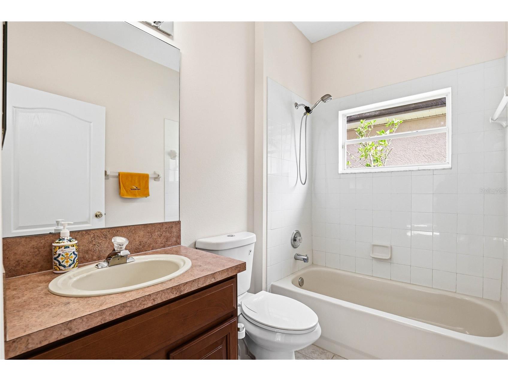 18733 Chopin Drive Lutz FL 33558 TB8490648 image38