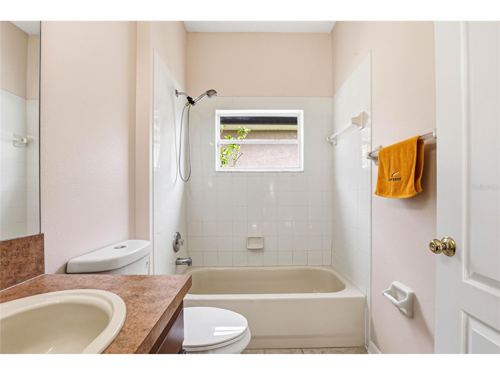 18733 Chopin Drive Lutz FL 33558 TB8490648 image39