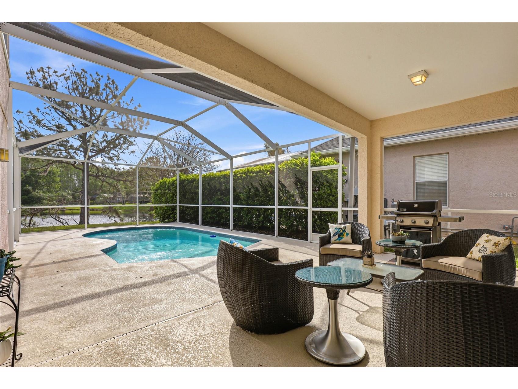 18733 Chopin Drive Lutz FL 33558 TB8490648 image46