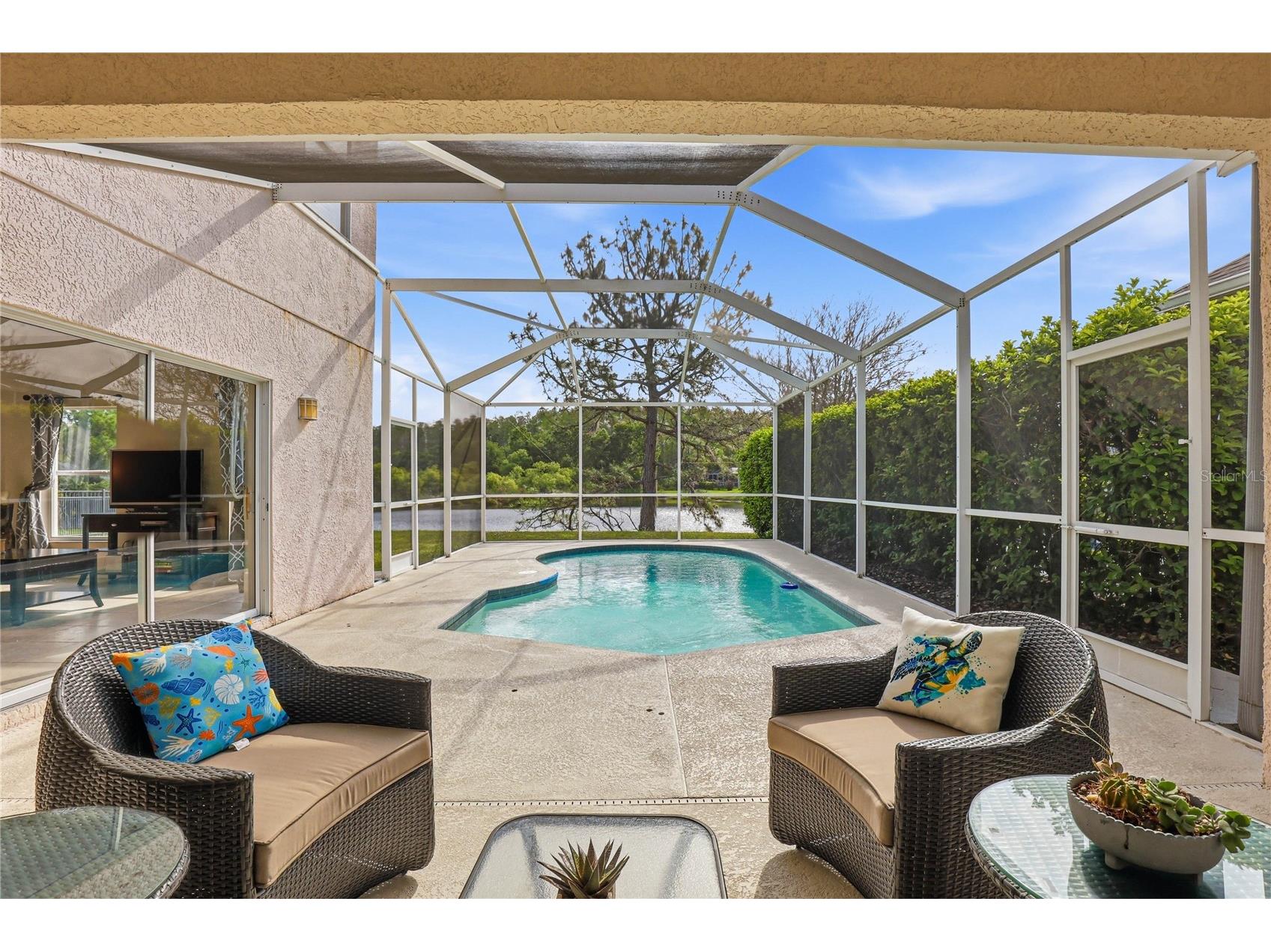 18733 Chopin Drive Lutz FL 33558 TB8490648 image49