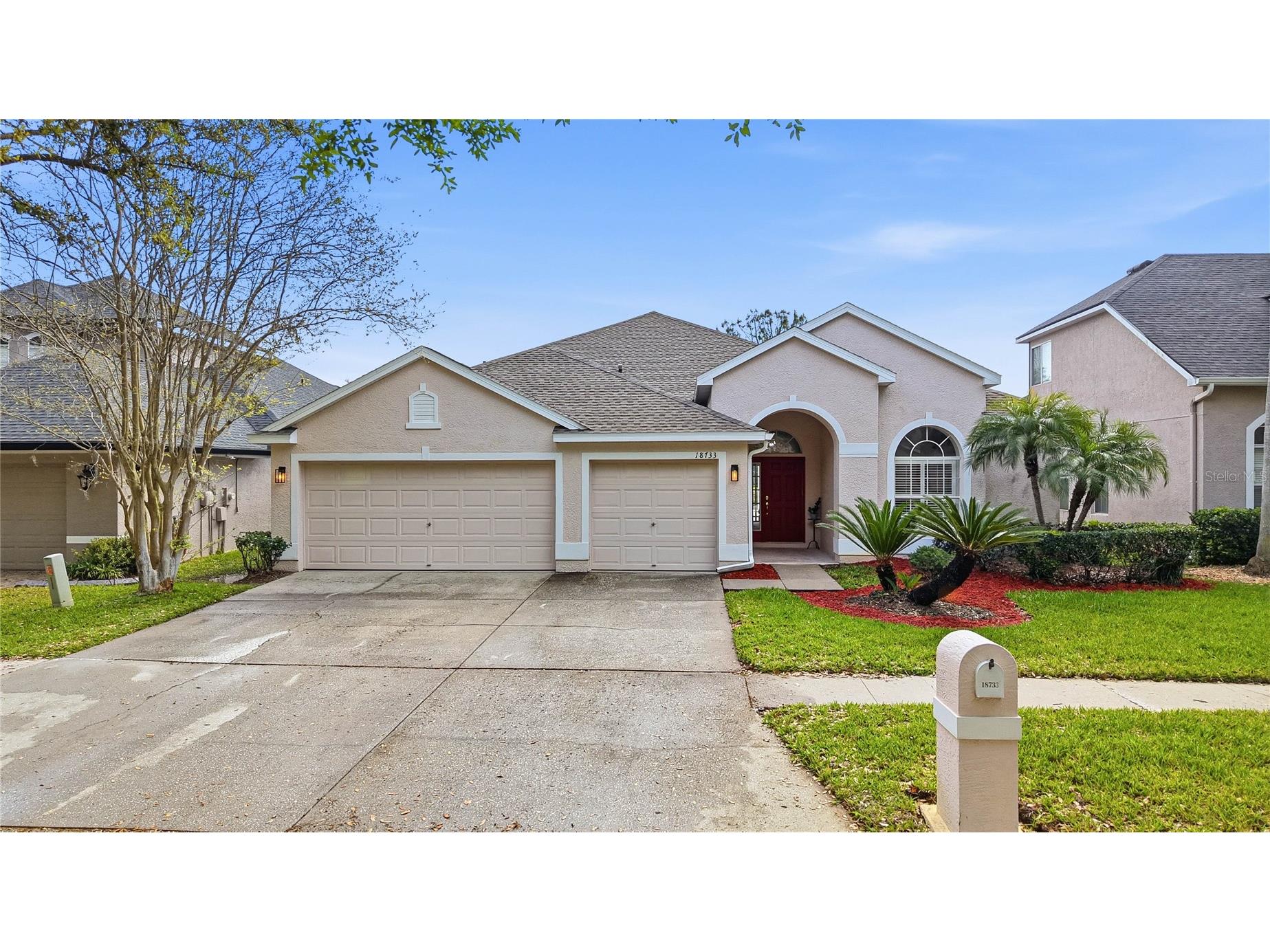 18733 Chopin Drive Lutz FL 33558 TB8490648 image55