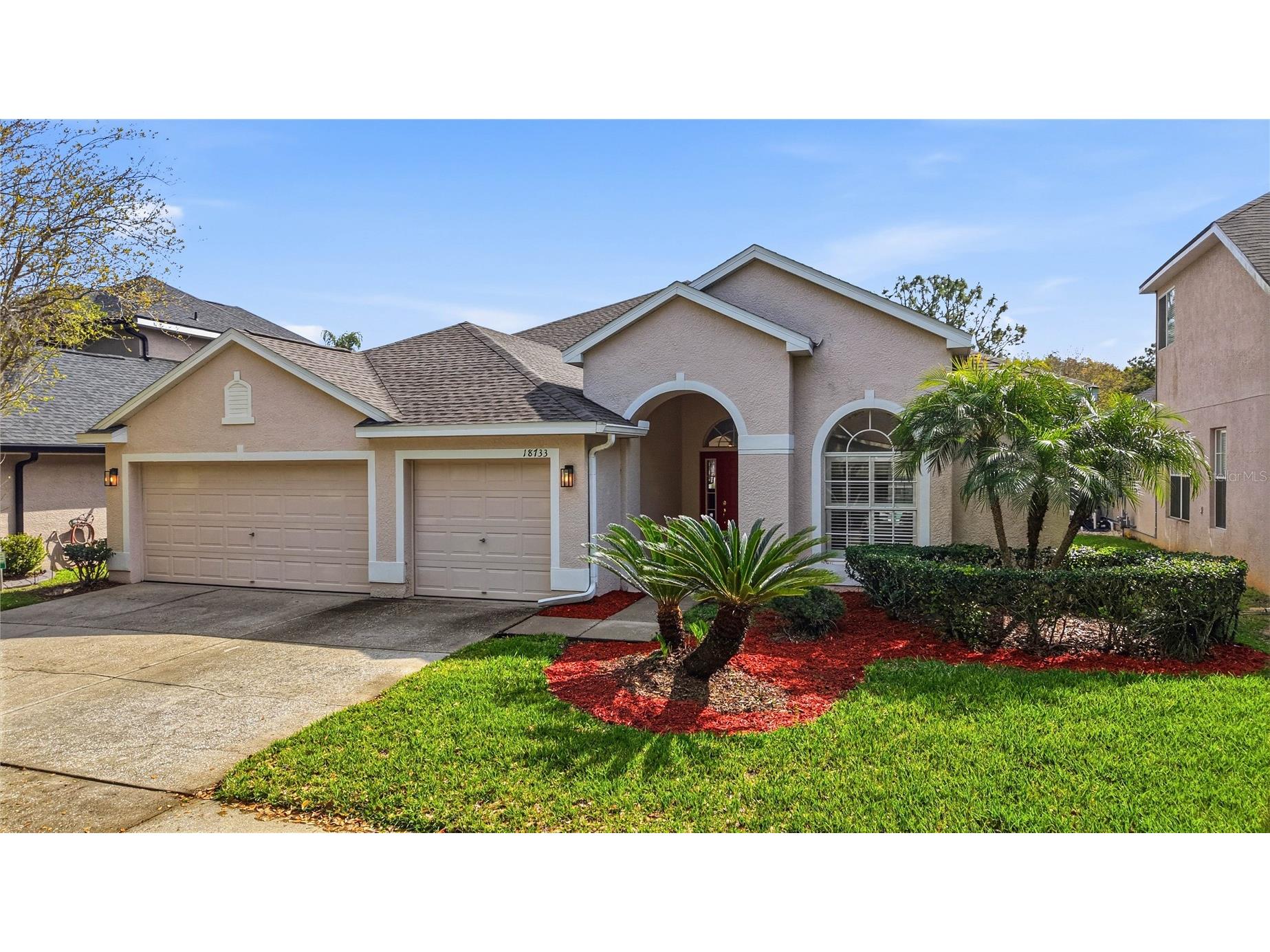 18733 Chopin Drive Lutz FL 33558 TB8490648 image56