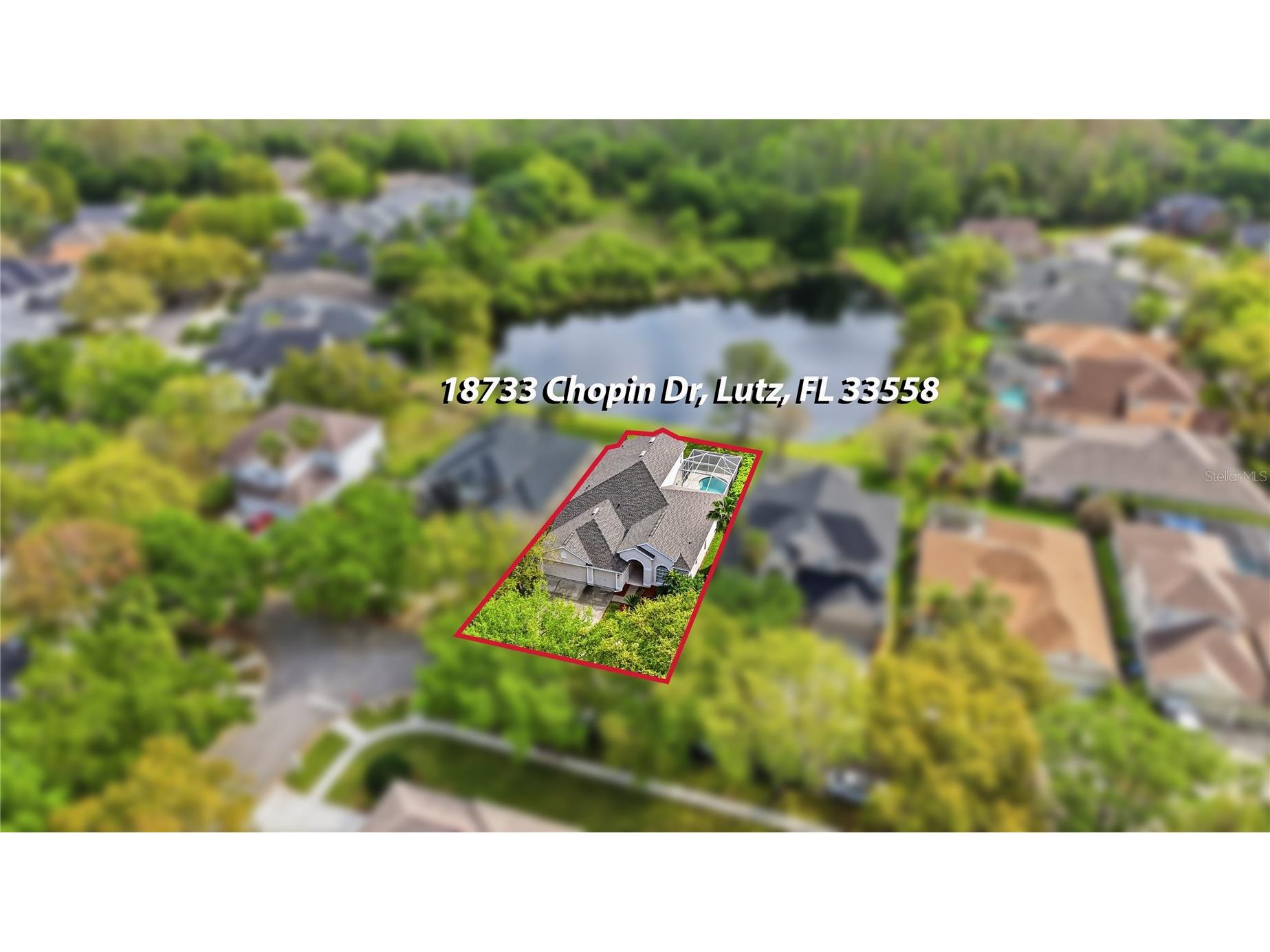18733 Chopin Drive Lutz FL 33558 TB8490648 image61