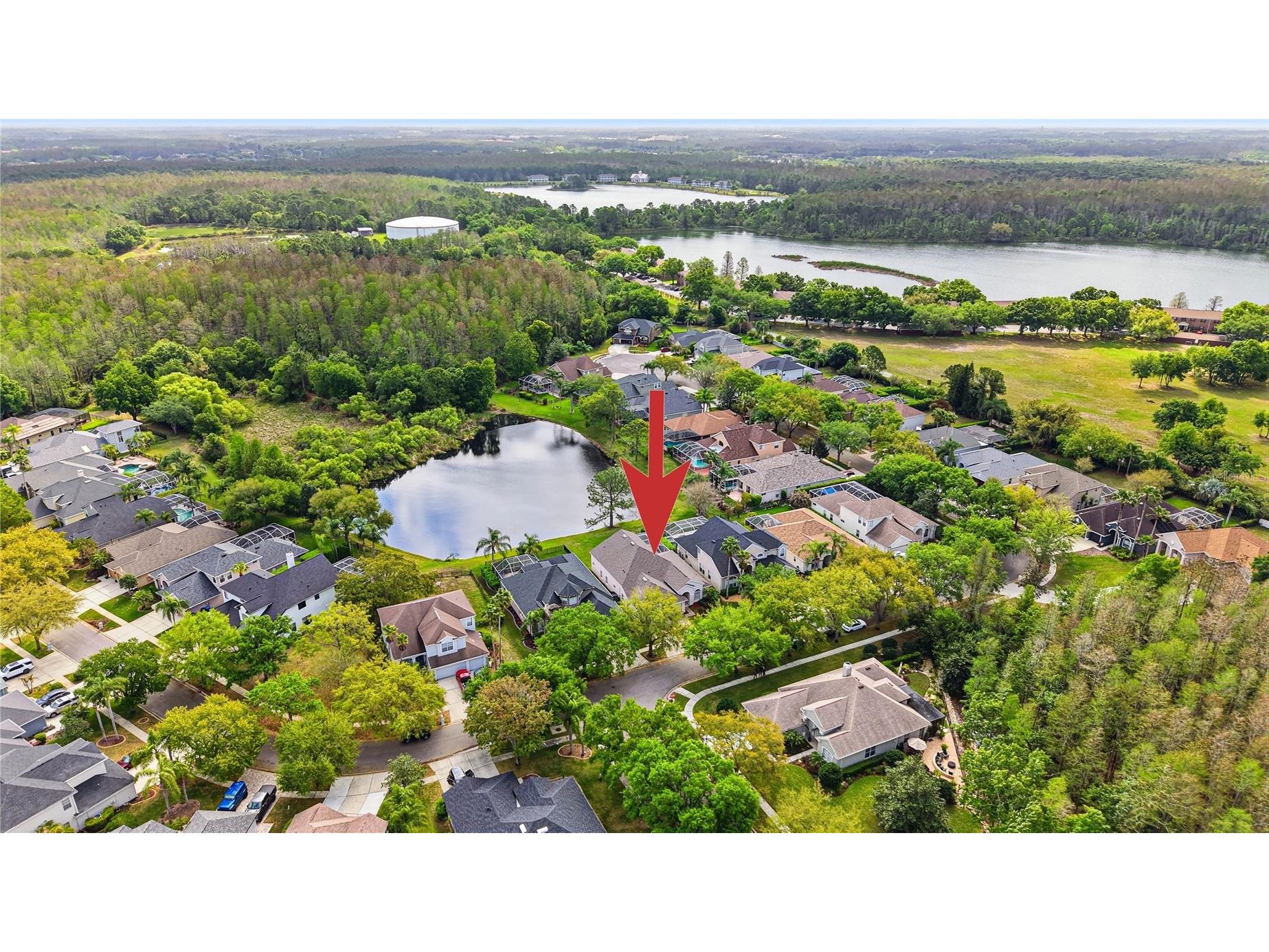 18733 Chopin Drive Lutz FL 33558 TB8490648 image63