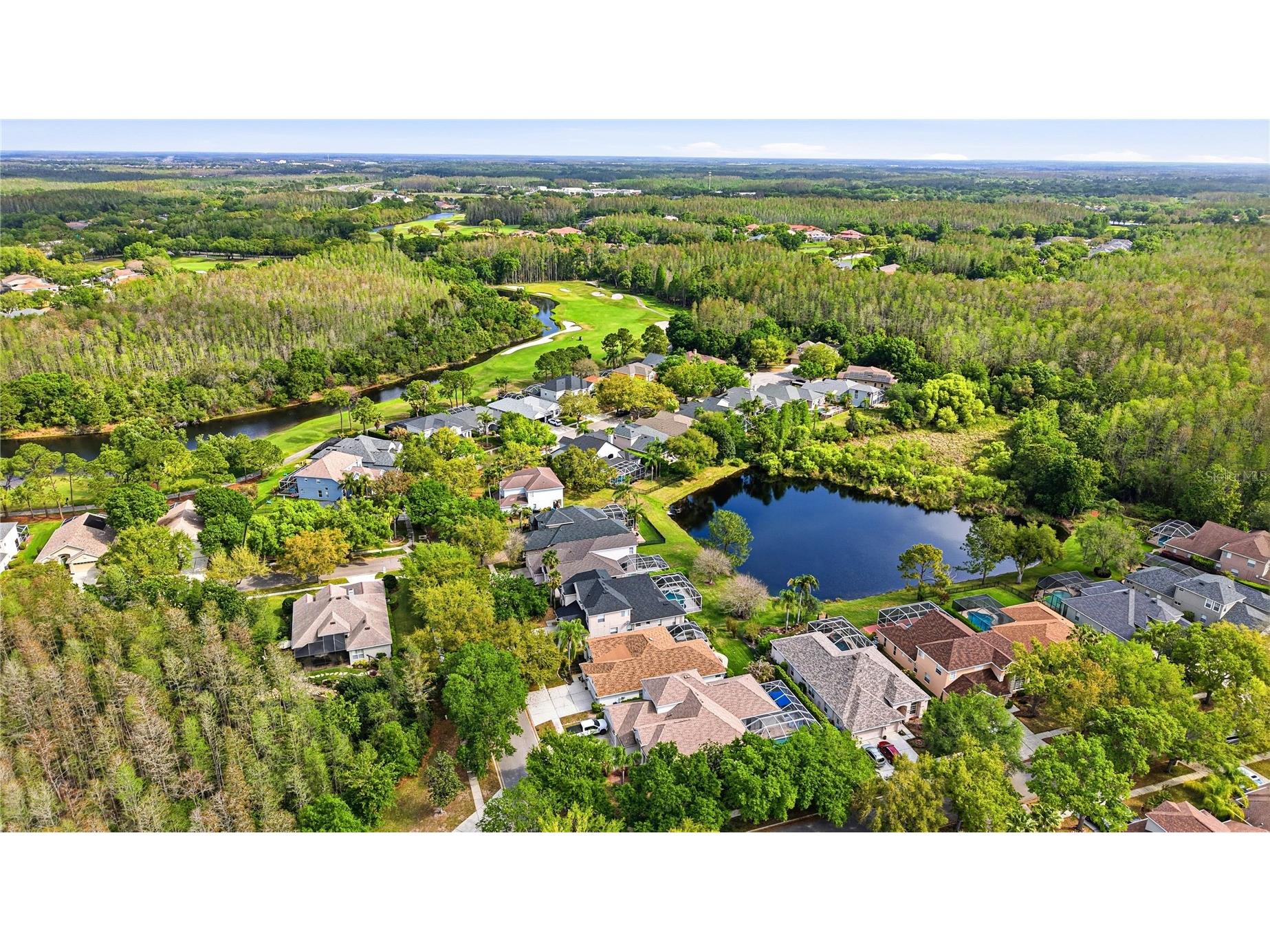 18733 Chopin Drive Lutz FL 33558 TB8490648 image64