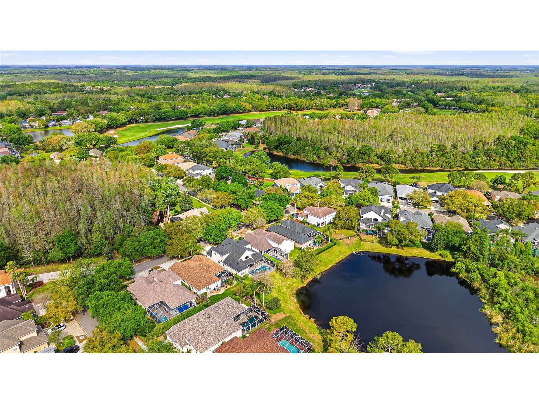 18733 Chopin Drive Lutz FL 33558 TB8490648 image65