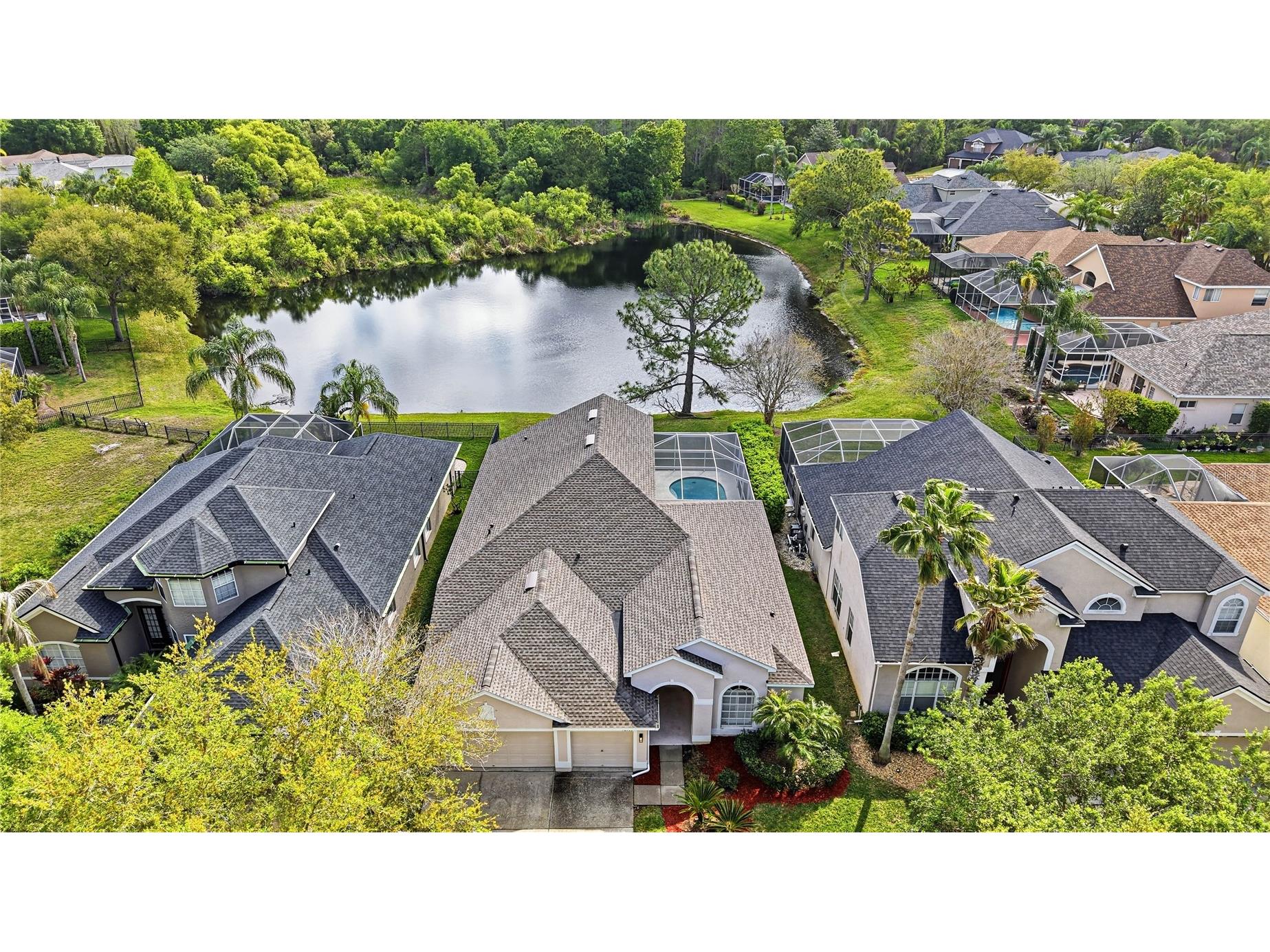 18733 Chopin Drive Lutz FL 33558 TB8490648 image66
