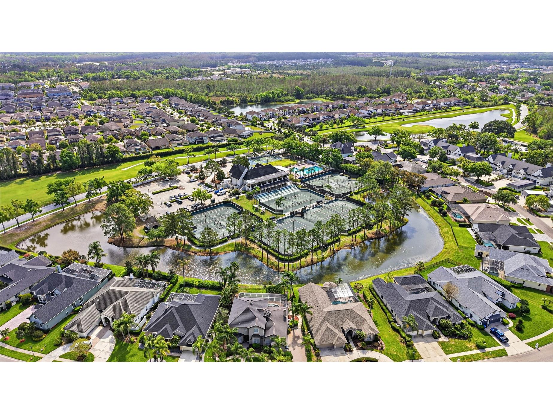 18733 Chopin Drive Lutz FL 33558 TB8490648 image67