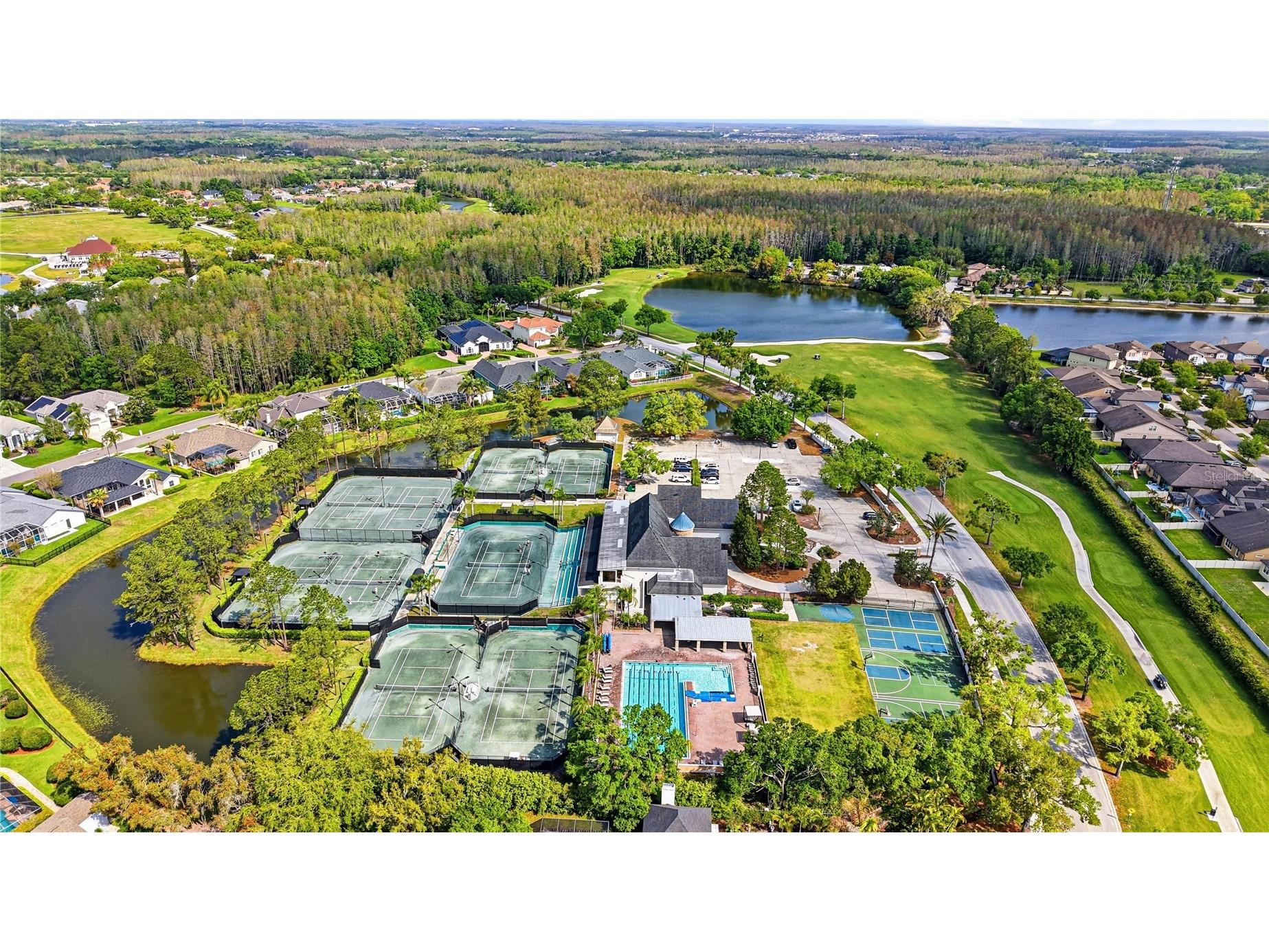 18733 Chopin Drive Lutz FL 33558 TB8490648 image68