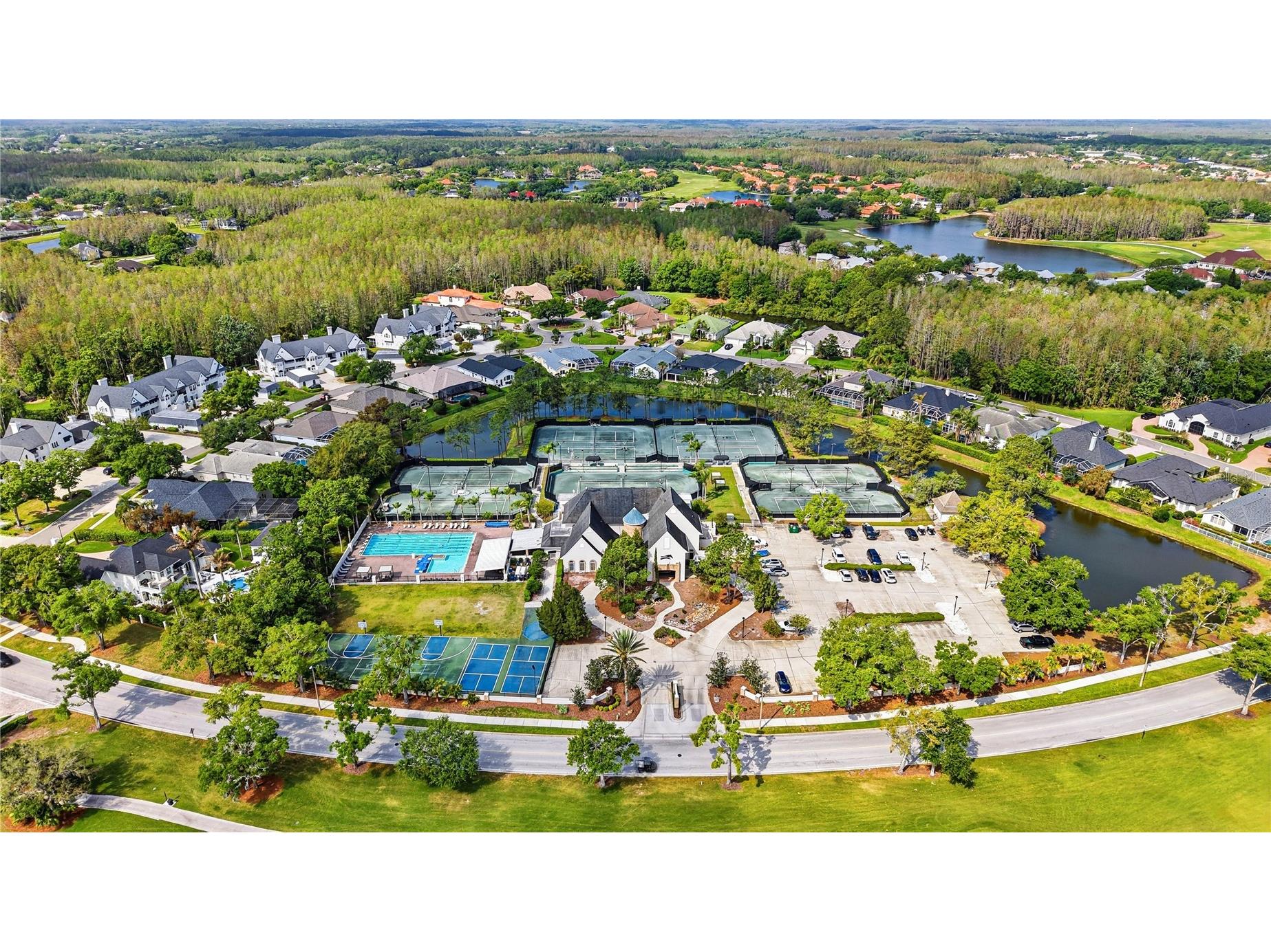 18733 Chopin Drive Lutz FL 33558 TB8490648 image69