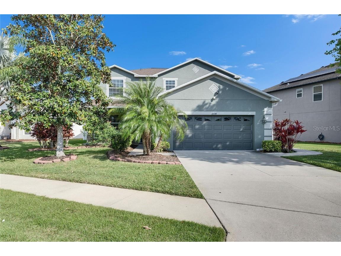 18734 Burndall Court Land O Lakes FL 34638 TB8440777 image1