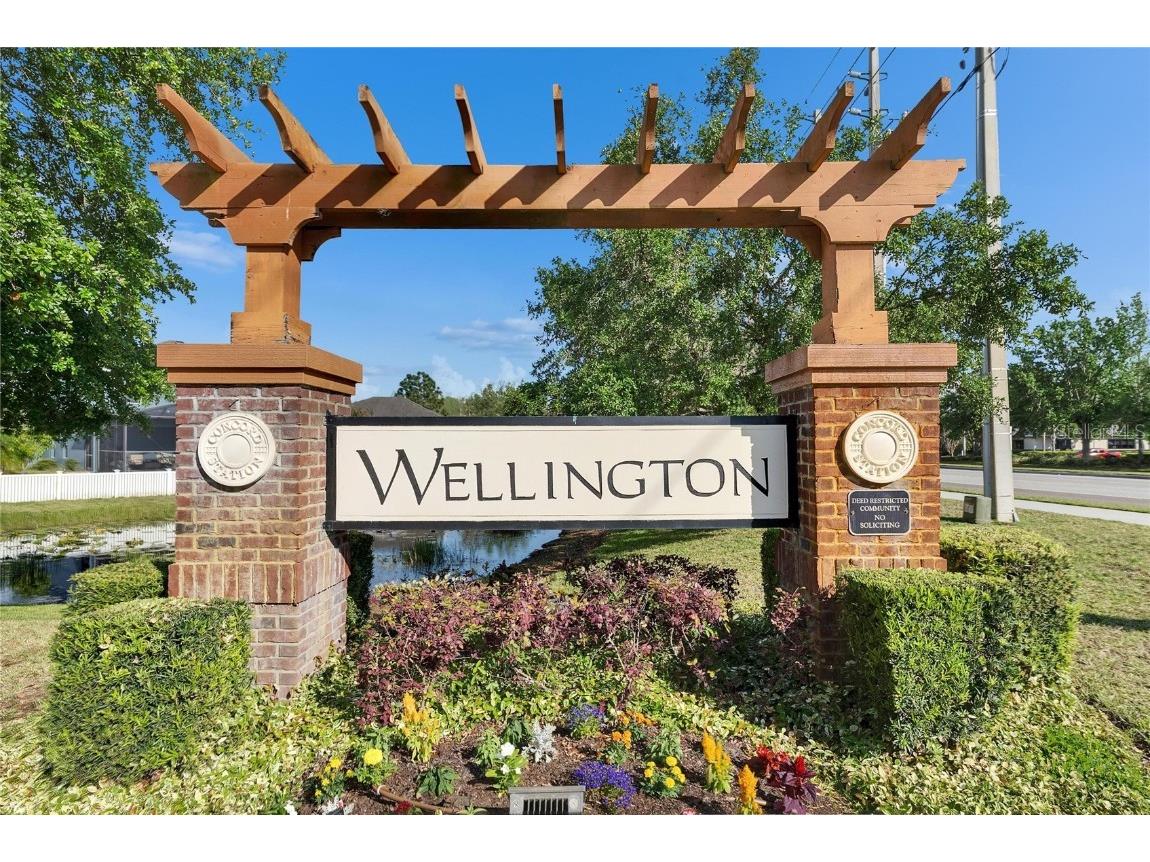 18734 Burndall Court Land O Lakes FL 34638 TB8440777 image2