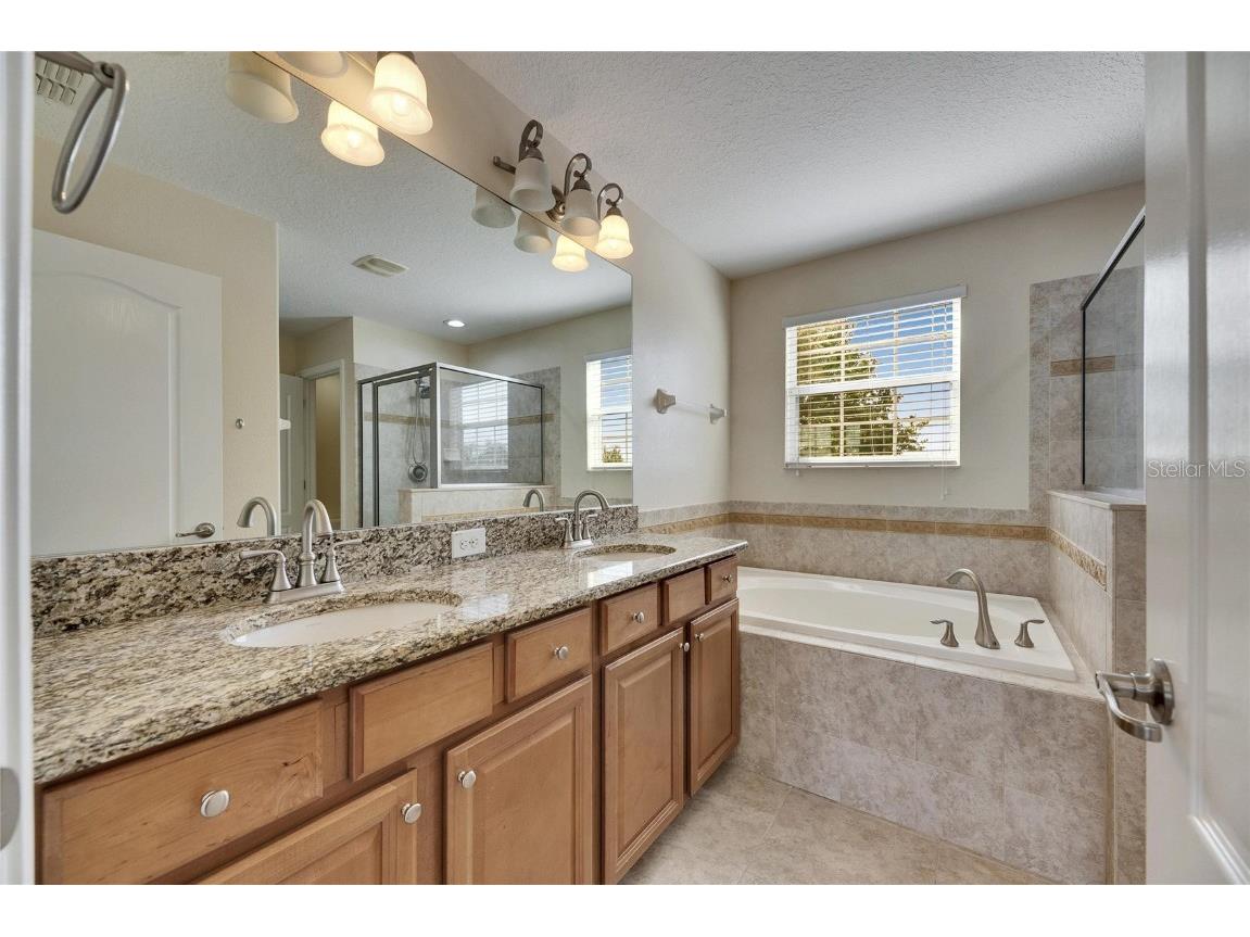 18734 Burndall Court Land O Lakes FL 34638 TB8440777 image20