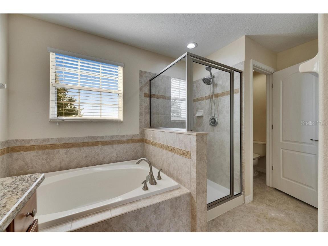 18734 Burndall Court Land O Lakes FL 34638 TB8440777 image21