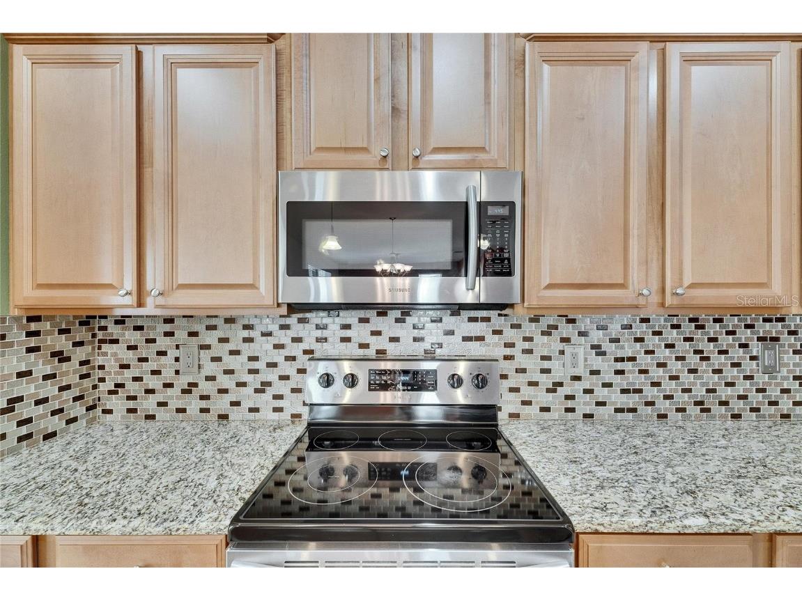 18734 Burndall Court Land O Lakes FL 34638 TB8440777 image26