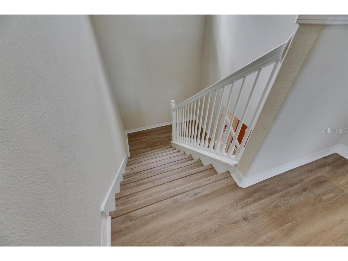 18734 Burndall Court Land O Lakes FL 34638 TB8440777 image4