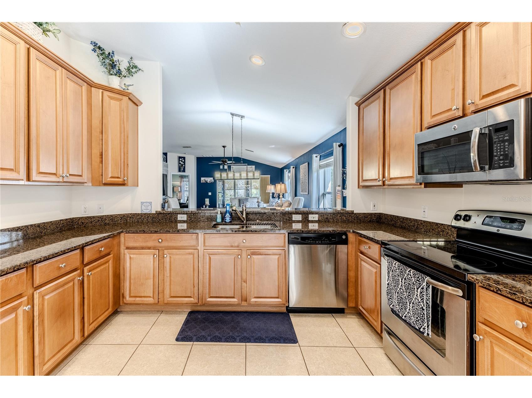 18735 Rolling Hills Loop Hudson FL 34667 TB8484450 image15