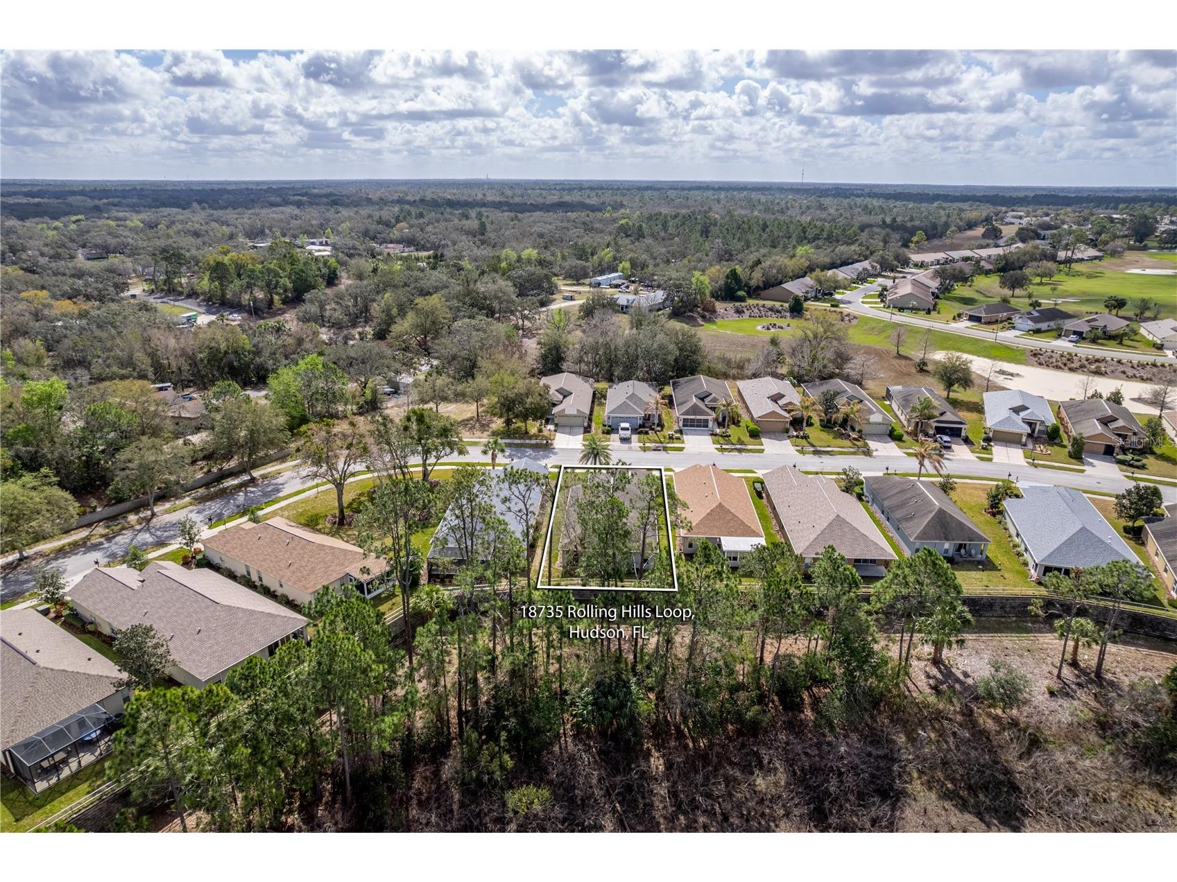 18735 Rolling Hills Loop Hudson FL 34667 TB8484450 image53