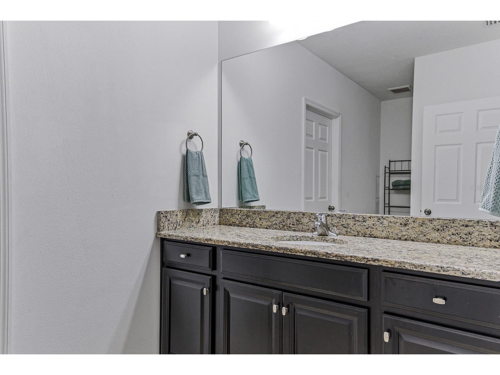 18738 Alfaro Loop Spring Hill FL 34610 TB8510779 image14