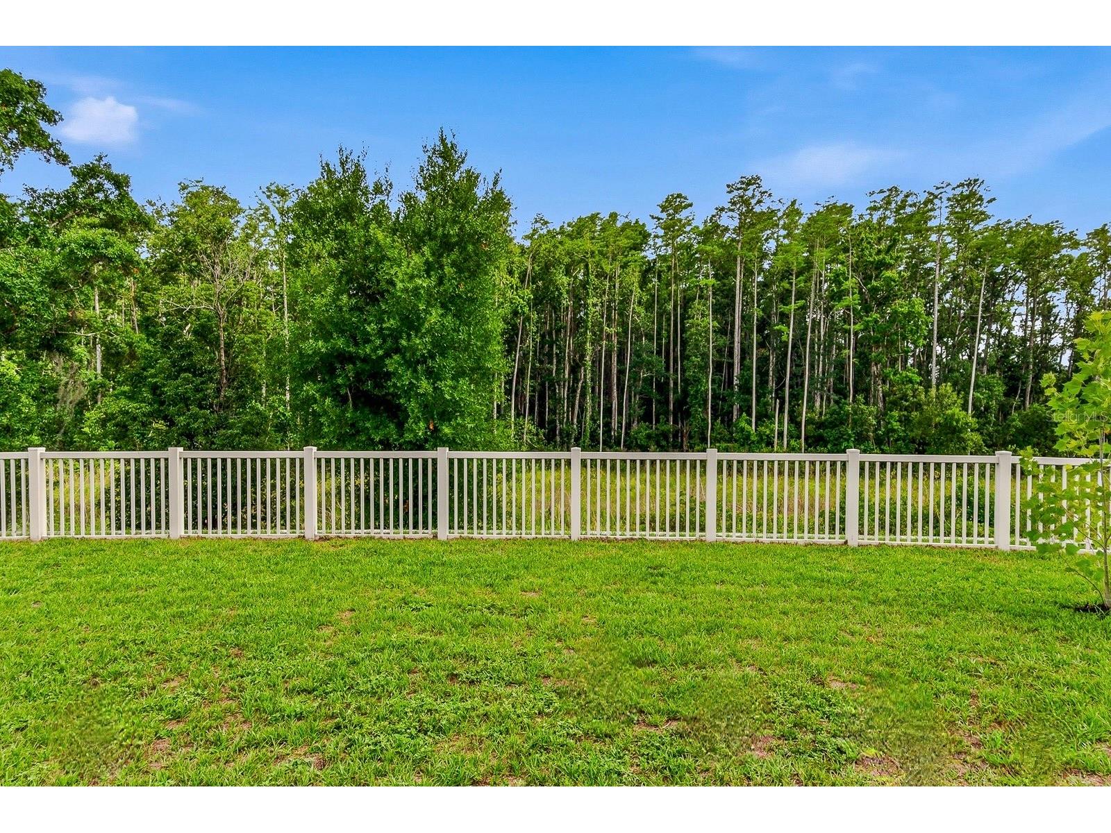 18738 Alfaro Loop Spring Hill FL 34610 TB8510779 image2