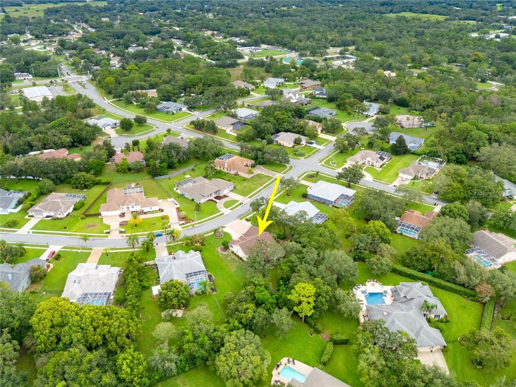 18739 Bascomb Lane Hudson FL 34667 FC312428 image59