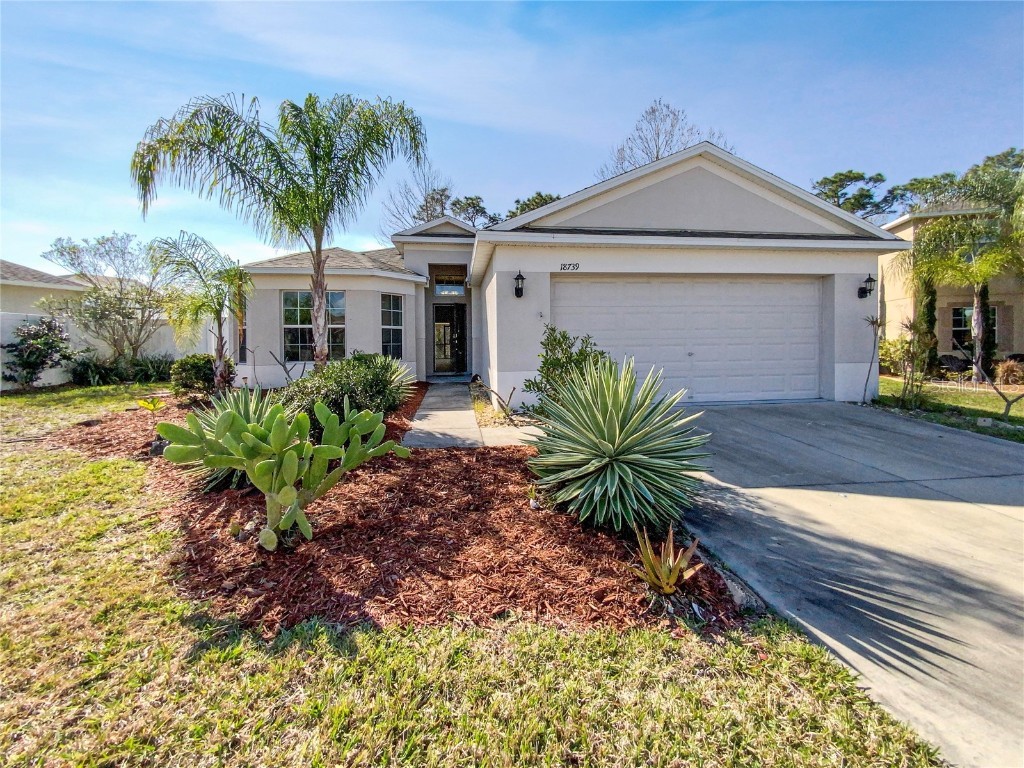 18739 Dobson Drive Hudson FL 34667 O6050470 image1