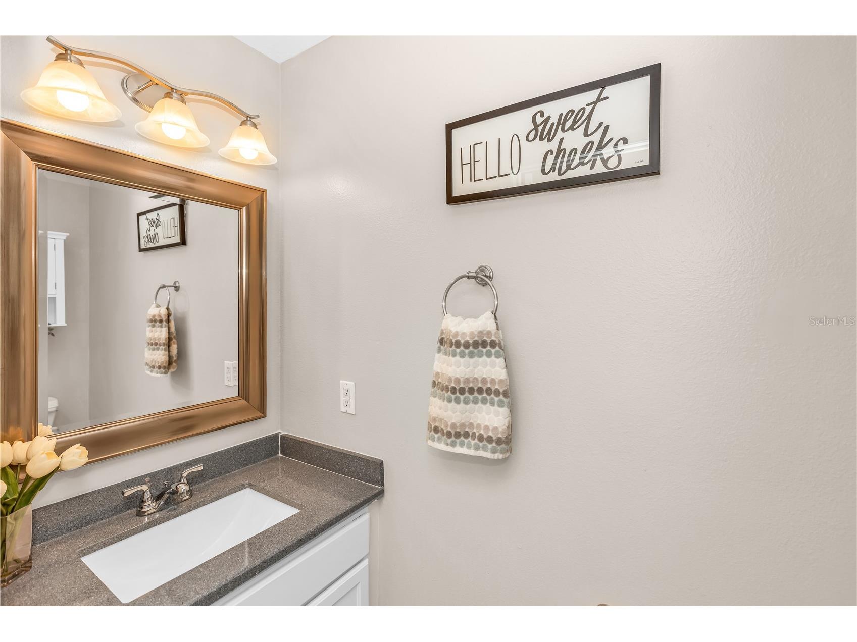 1874 Corner Meadow Circle Orlando FL 32820 O6406290 image34