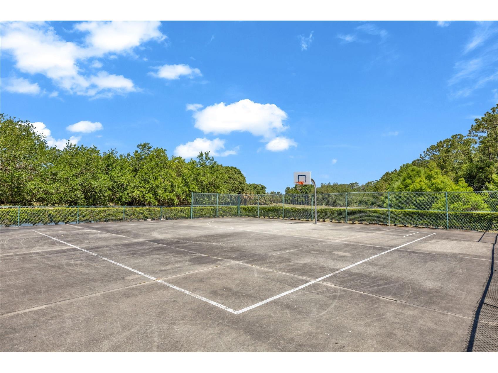 1874 Corner Meadow Circle Orlando FL 32820 O6406290 image39