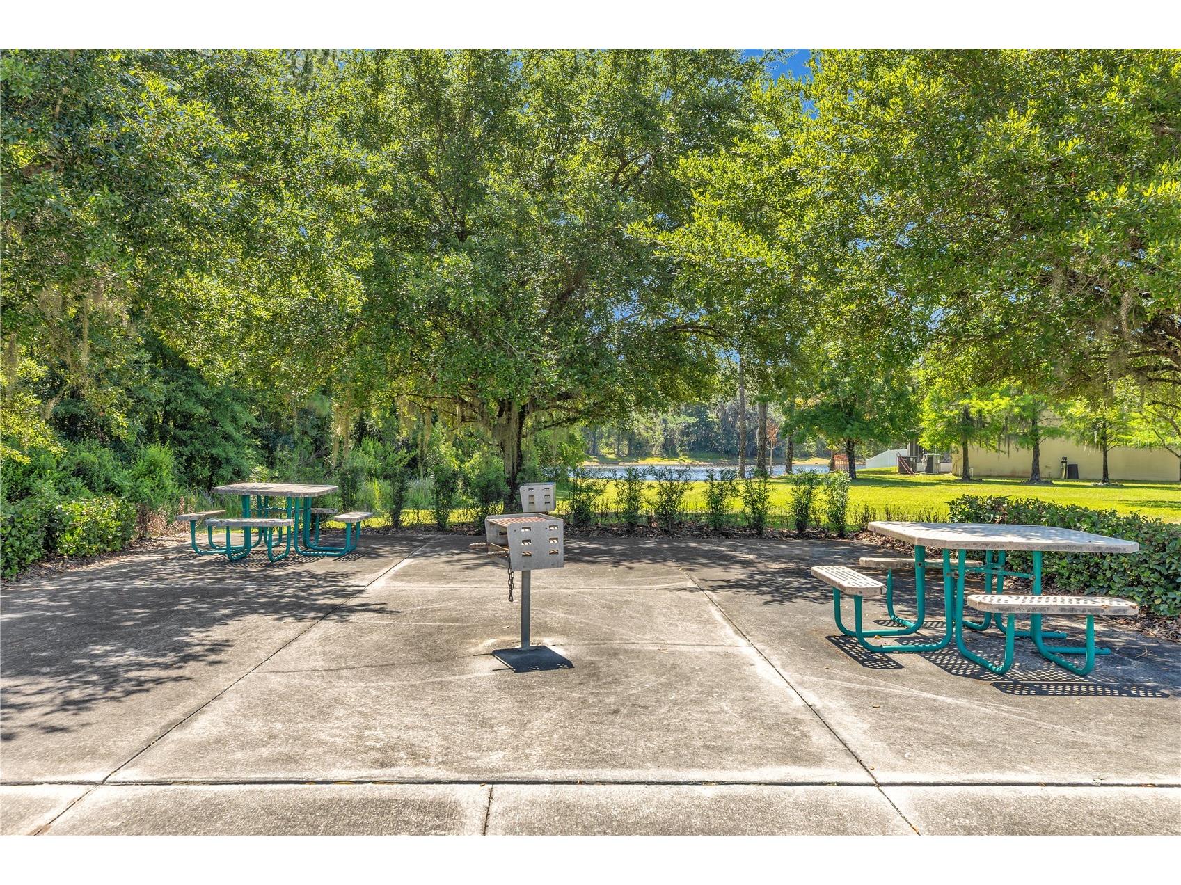 1874 Corner Meadow Circle Orlando FL 32820 O6406290 image40