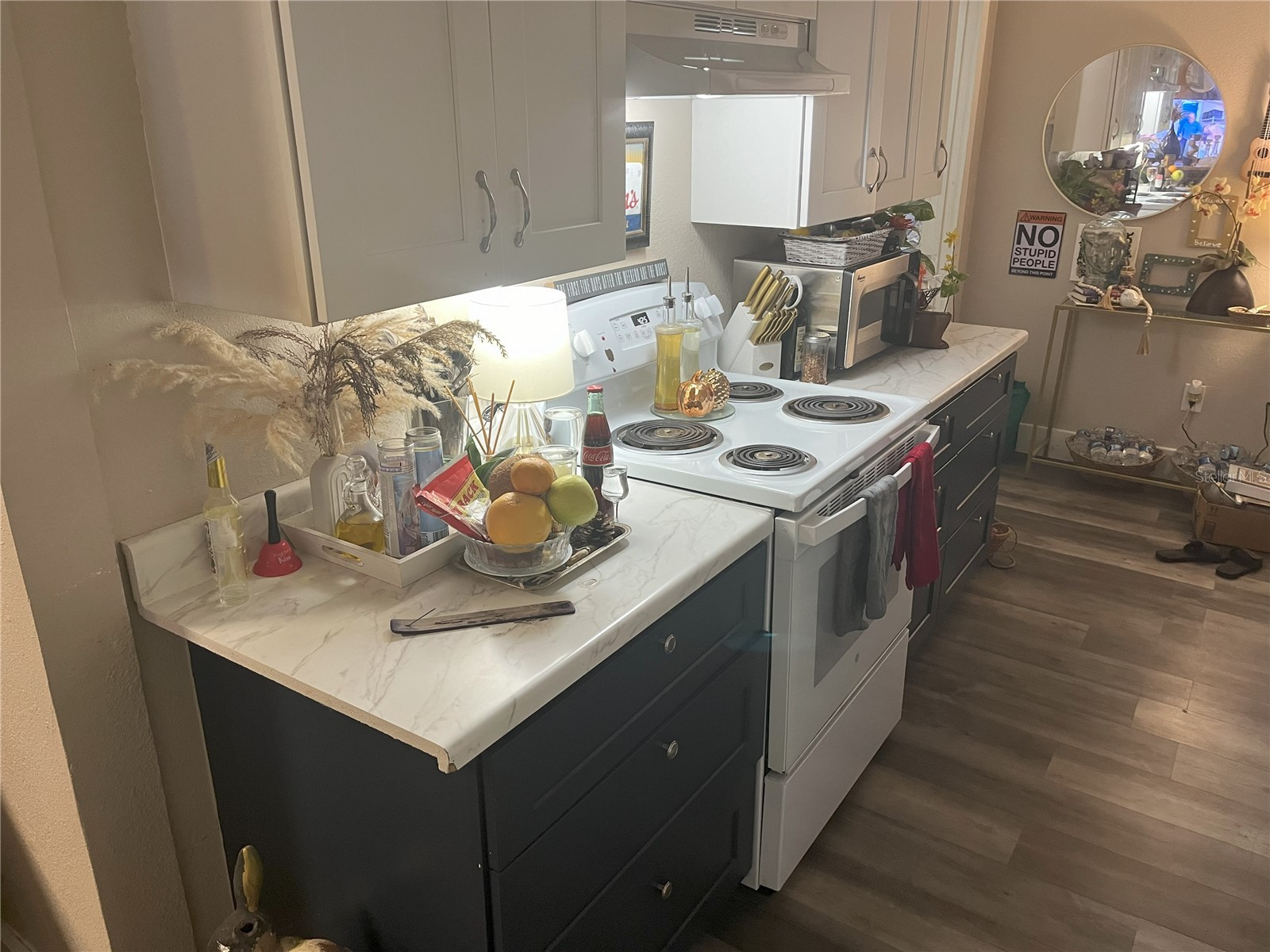 1874 Douglas Avenue Clearwater FL 33755 TB8301678 image12