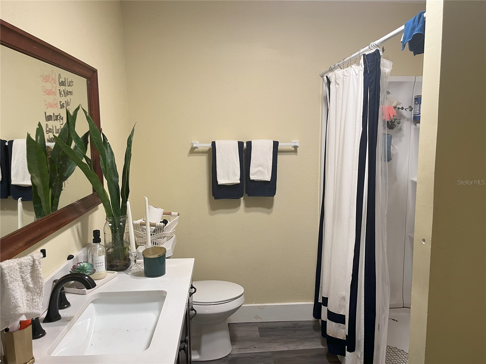 1874 Douglas Avenue Clearwater FL 33755 TB8301678 image21