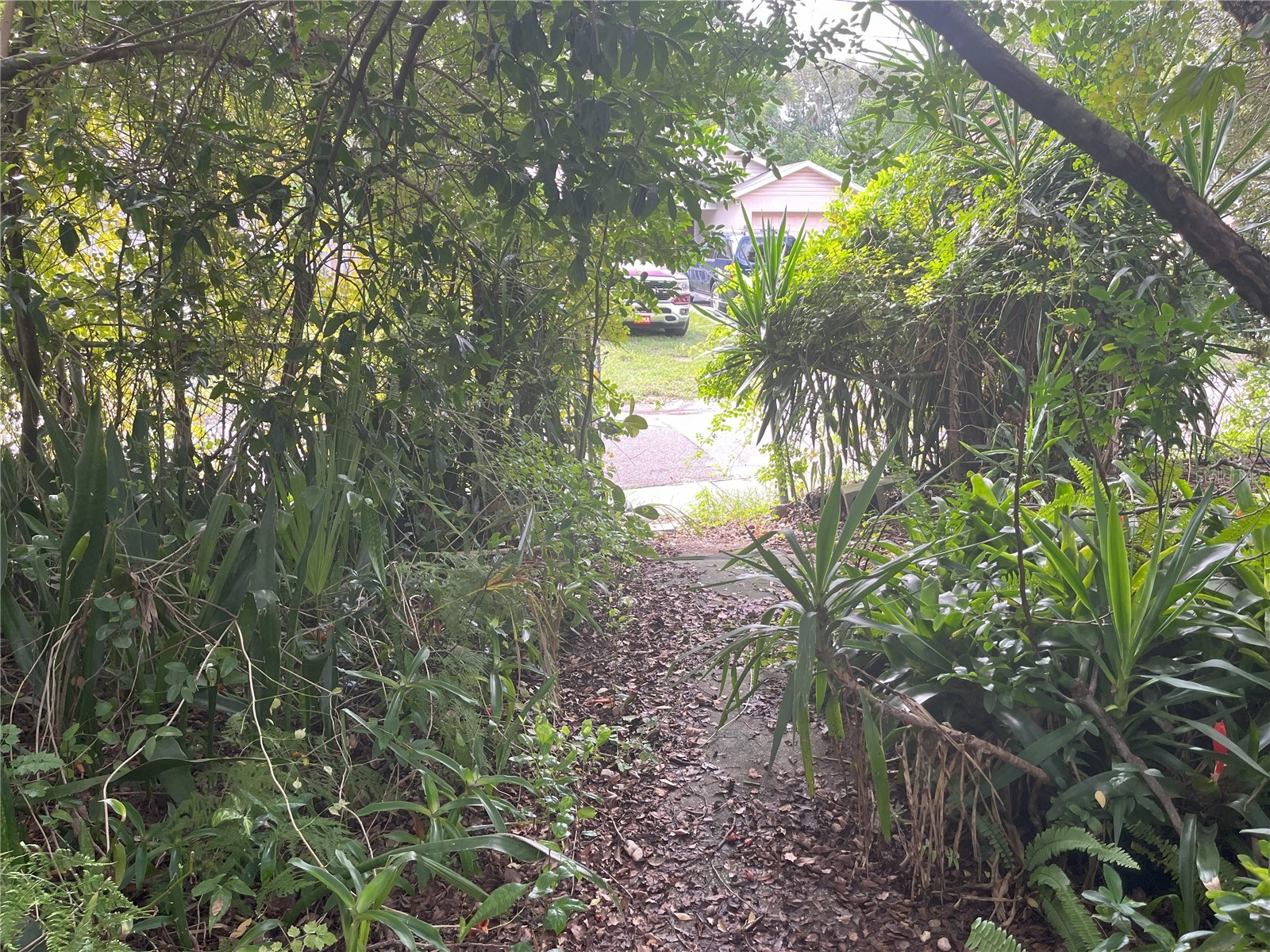 1874 Douglas Avenue Clearwater FL 33755 TB8301678 image38