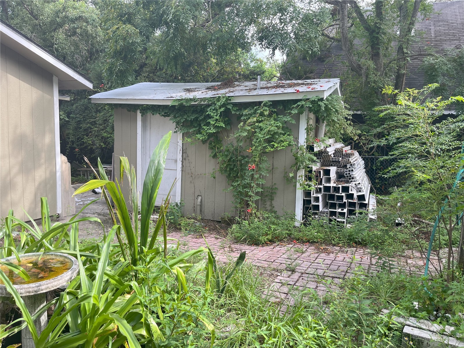 1874 Douglas Avenue Clearwater FL 33755 TB8301678 image39
