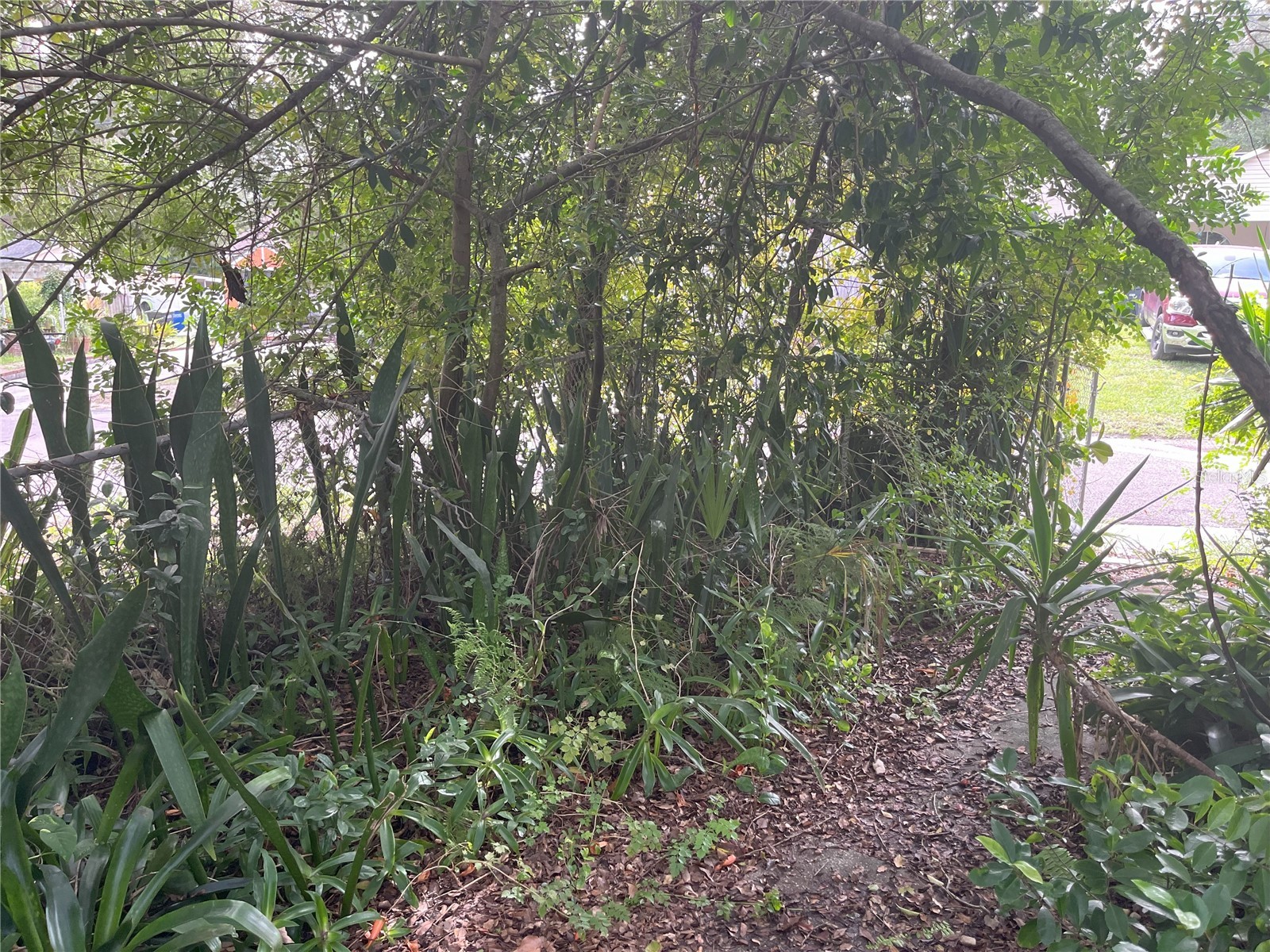 1874 Douglas Avenue Clearwater FL 33755 TB8301678 image40