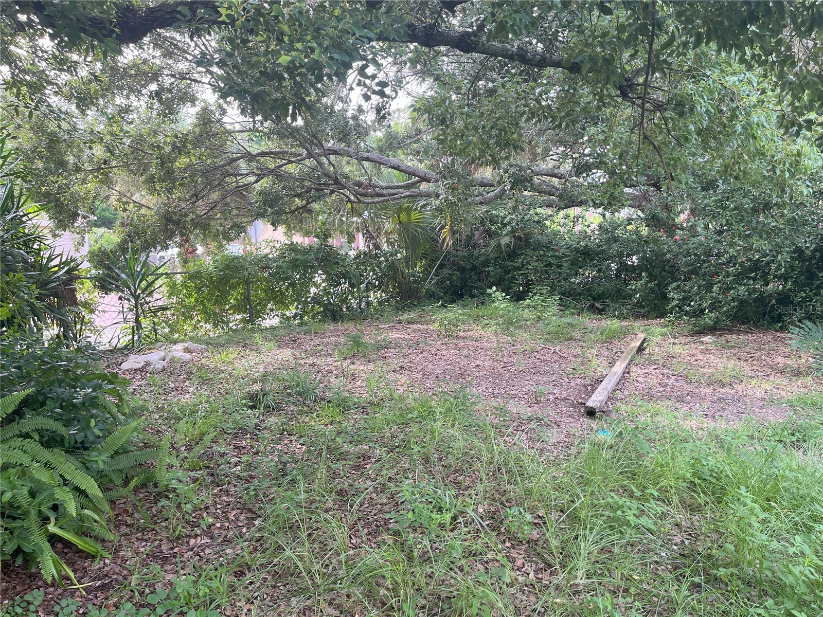 1874 Douglas Avenue Clearwater FL 33755 TB8301678 image41