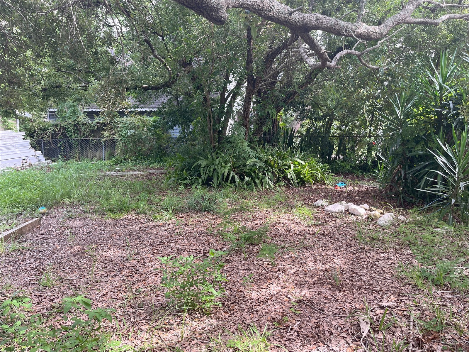 1874 Douglas Avenue Clearwater FL 33755 TB8301678 image42