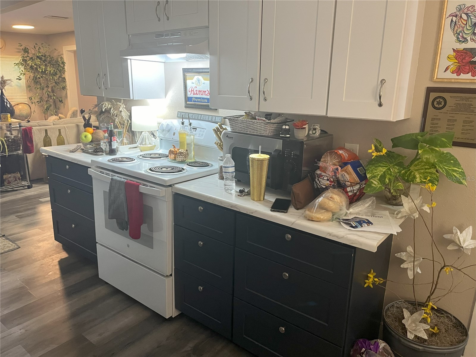 1874 Douglas Avenue Clearwater FL 33755 TB8301678 image8
