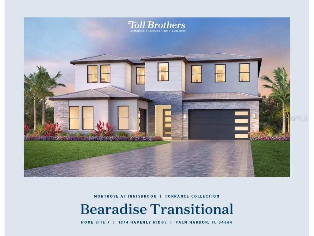 1874 Havenly Ridge Palm Harbor FL 34684 A4667658 image1