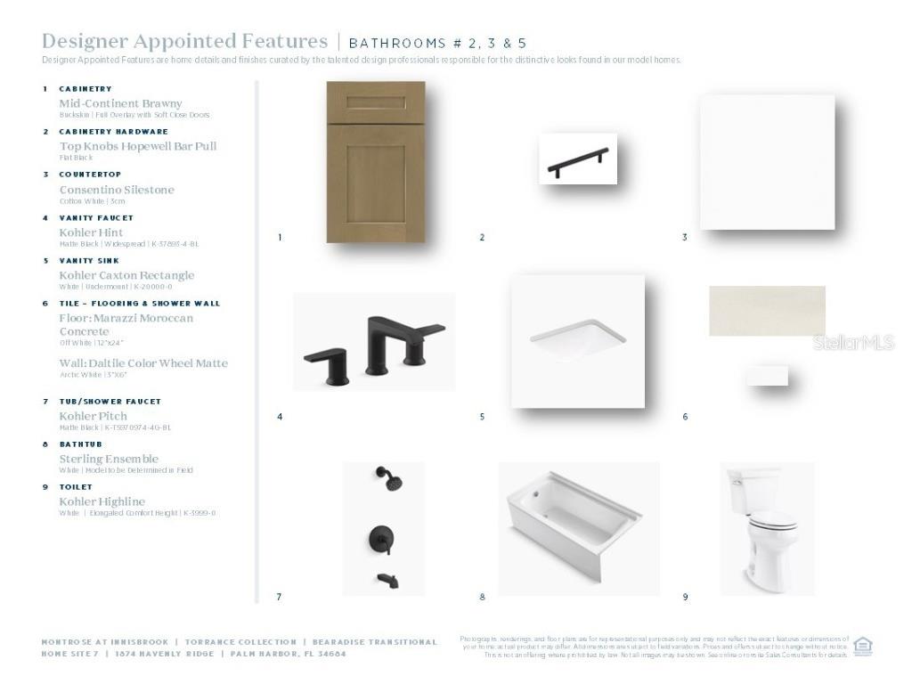 1874 Havenly Ridge Palm Harbor FL 34684 A4667658 image11