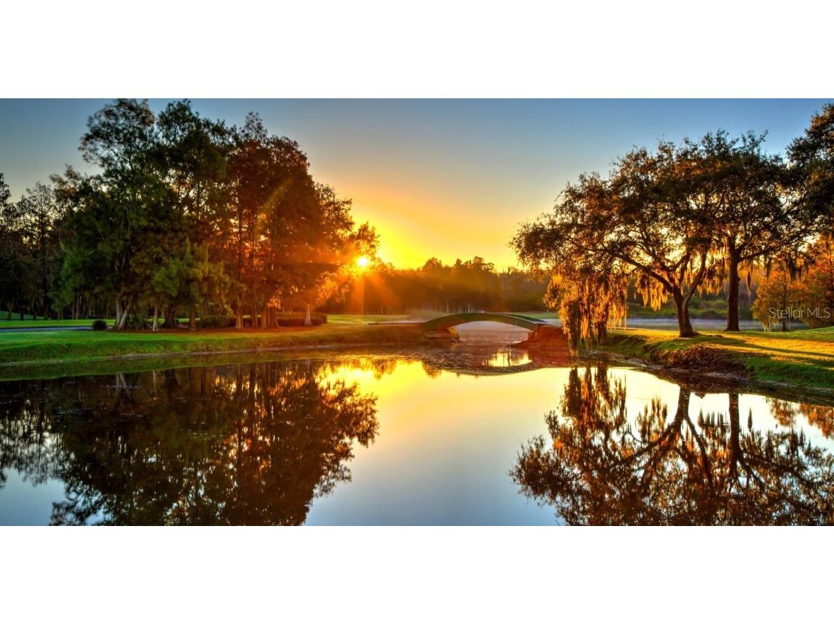 1874 Havenly Ridge Palm Harbor FL 34684 A4667658 image13