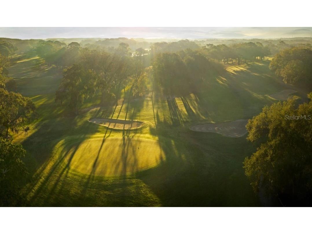 1874 Havenly Ridge Palm Harbor FL 34684 A4667658 image14