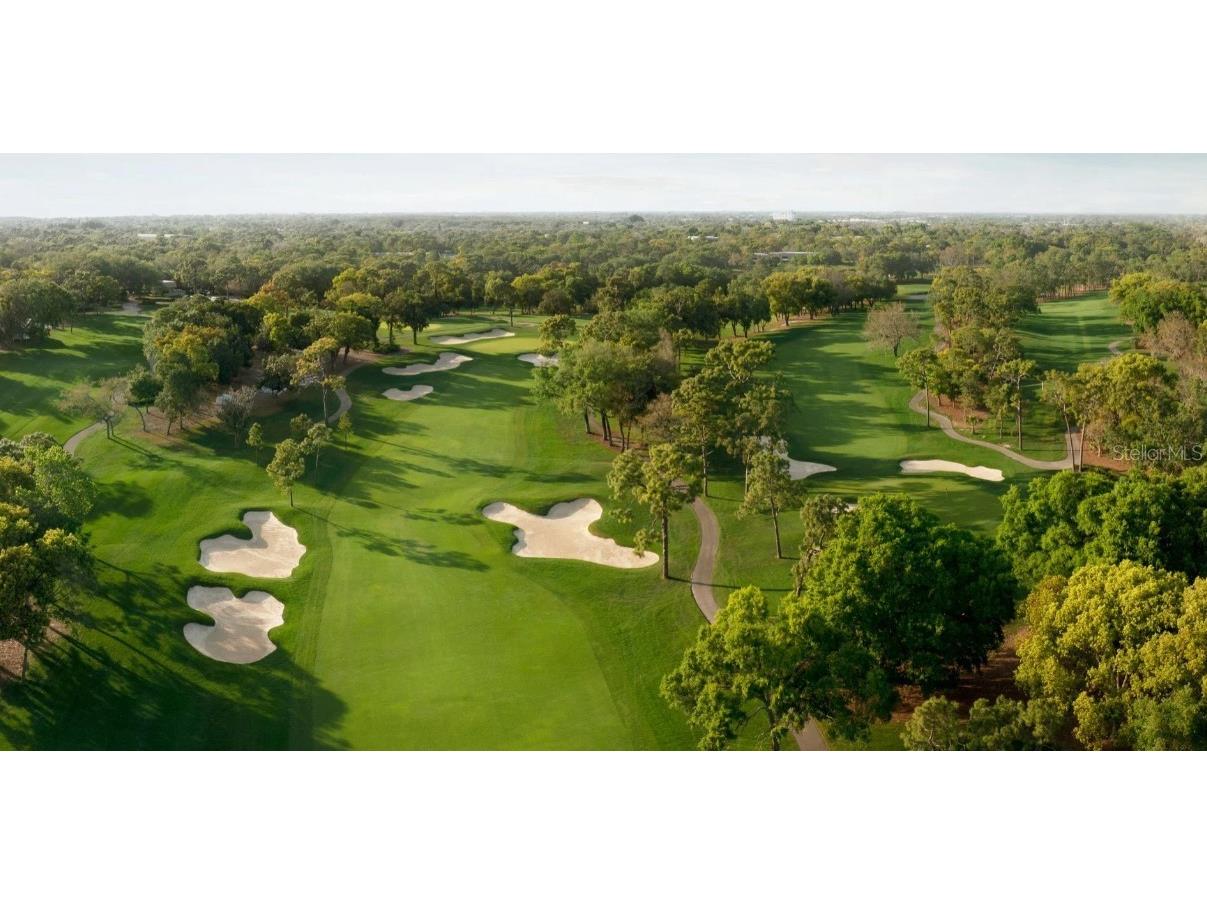 1874 Havenly Ridge Palm Harbor FL 34684 A4667658 image15