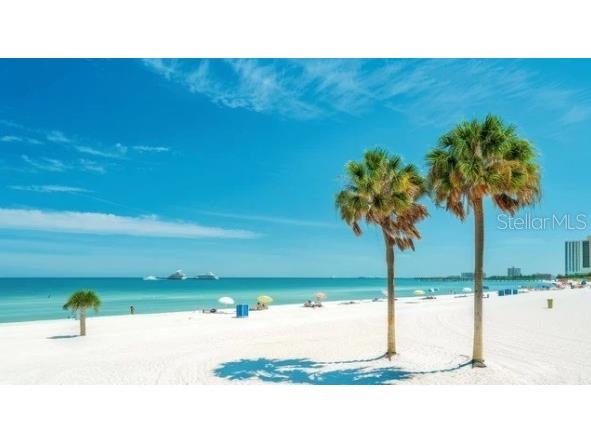 1874 Havenly Ridge Palm Harbor FL 34684 A4667658 image24